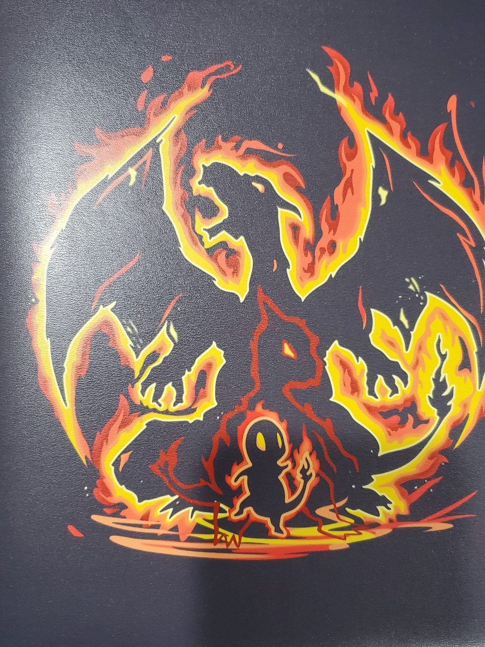 Pokemon Flaming Dragon & Charmander Graphic Card Binder